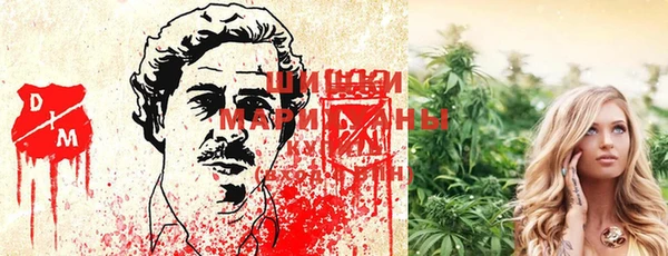дурь Алзамай