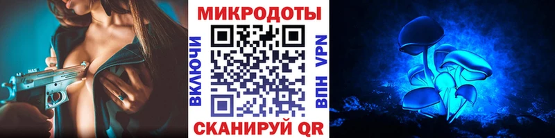 дарнет шоп  Апатиты  mega   Галлюциногенные грибы Cubensis 